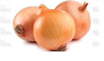 CEBOLLA 1 Kg