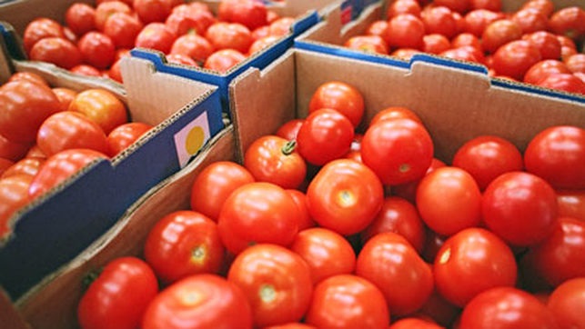 TOMATE M BANDEJA  6 KG CAT I