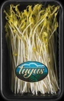 GERMINADO DE ESPARRAGO 100 GRS "TUGAS"X4