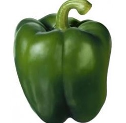 [18.97.0057] PIMIENTO VERDE CALIFORNIA CO 1 Kg 